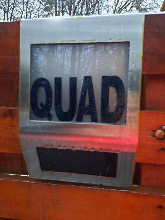 Villa Quad ポイアナ・ブラショフ エクステリア 写真