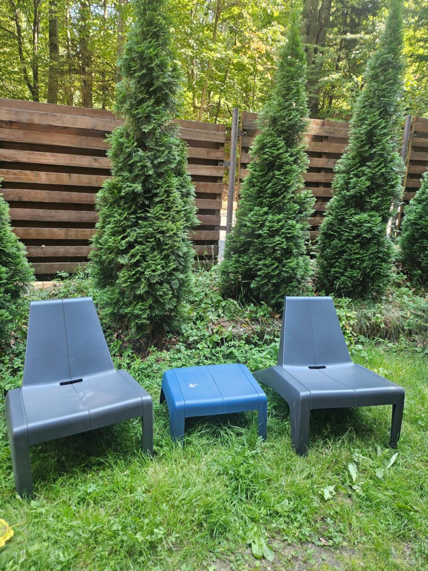 Villa Quad ポイアナ・ブラショフ エクステリア 写真